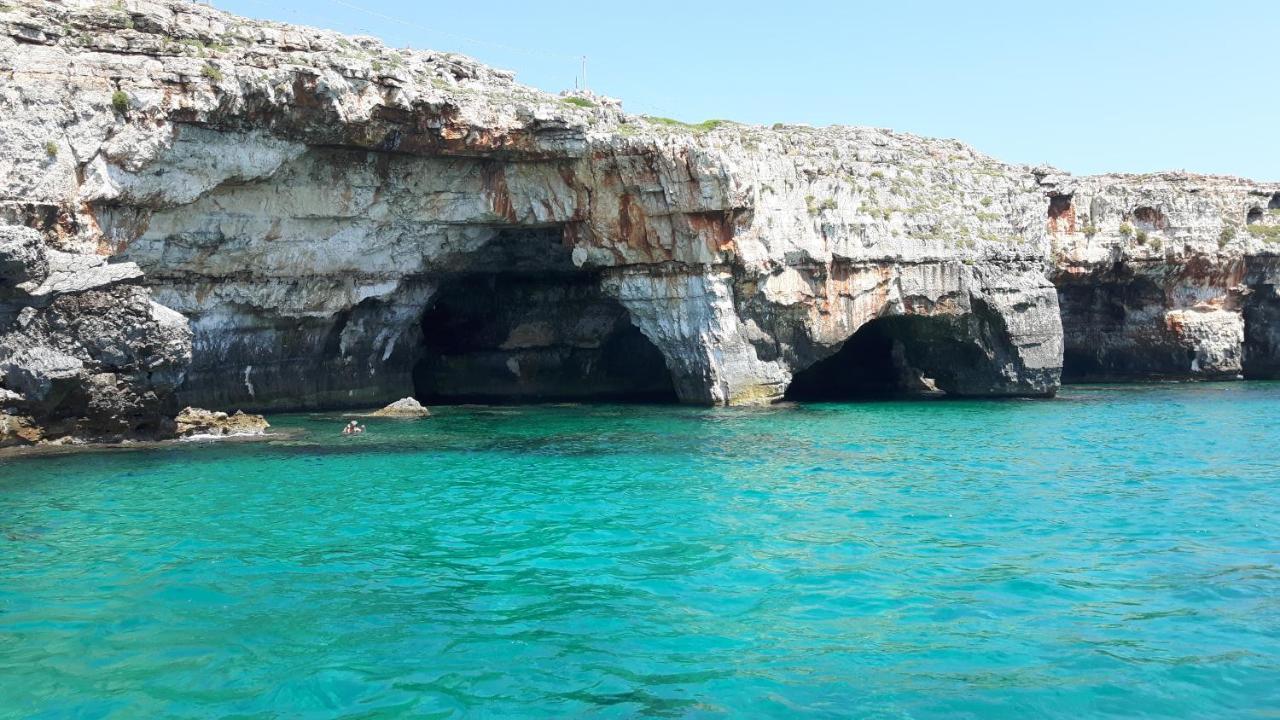 Vacanze Nella Natura Con Vista Mare Torre Pali المظهر الخارجي الصورة